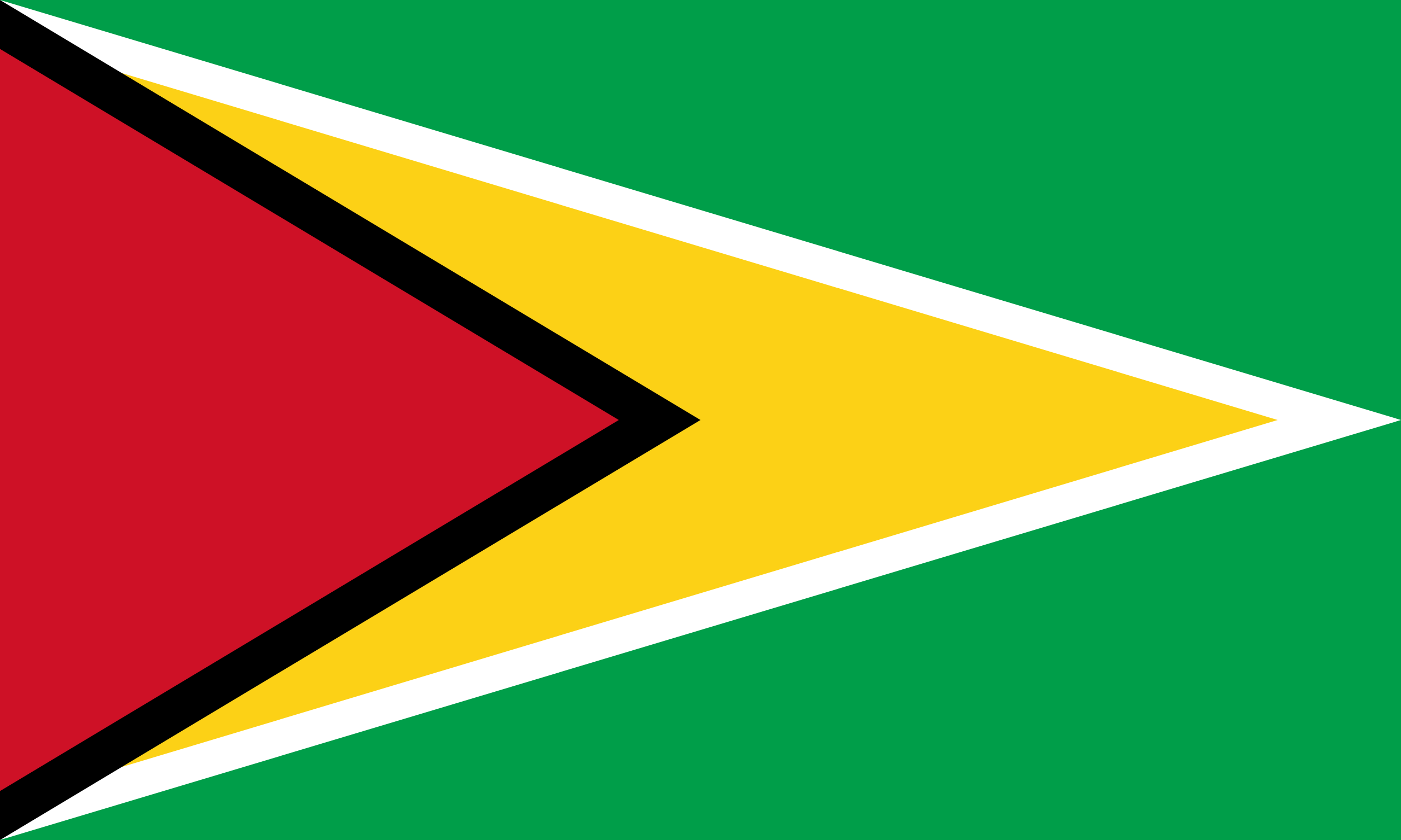 ART Accepts TREES Document Submitted by Guyana